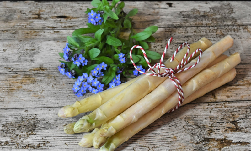 Spargel